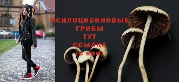 не бодяженный Алзамай