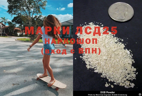 PSILOCYBIN Нязепетровск